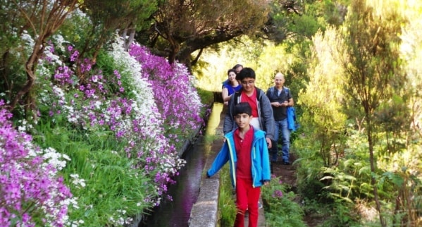 Levada Walks in Madeira Island min